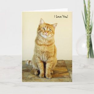 Cartão Ginger Tabby Cat Love Card