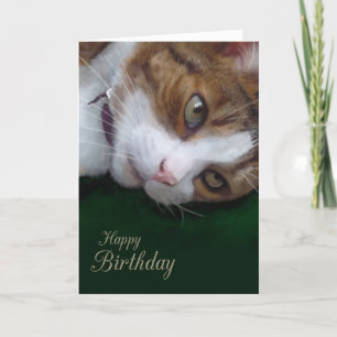 Cartão Ginger Tabby Cat Personalizável Feliz Aniversário