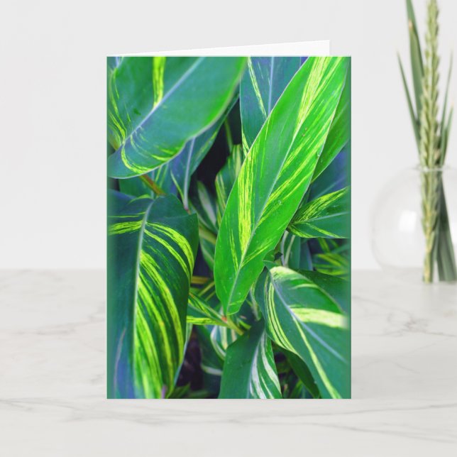 Cartão "Ginger Variegado" (Frente)