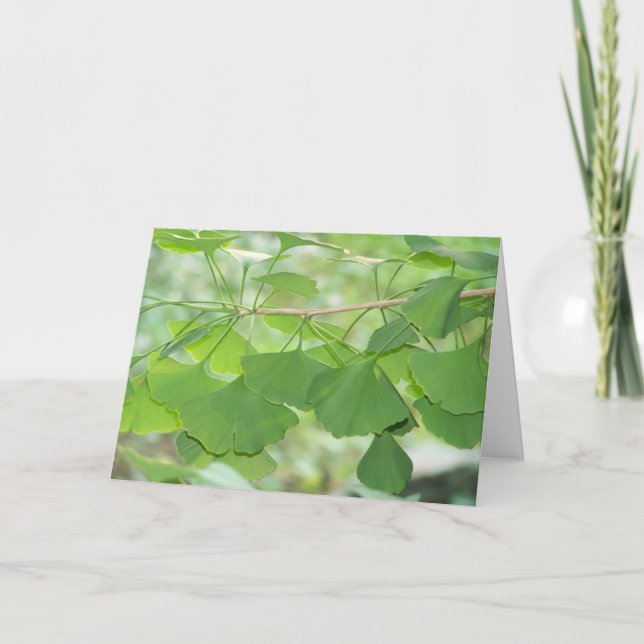 Cartão ginkgo (Frente)