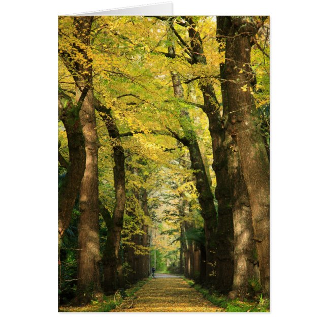 Cartão Ginkgo Biloba (Frente)