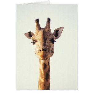 Cartão Girafa do Fim-Acima