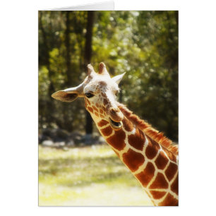 Cartão Girafa do peekaboo
