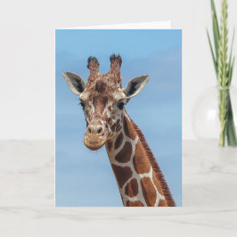 Cartão Girafa que olha direito em mim
