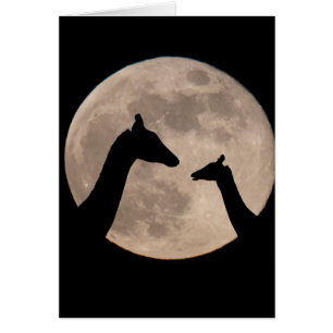Cartão Girafas Na Lua Cheia