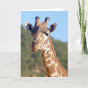 Cartão Giraffe Card