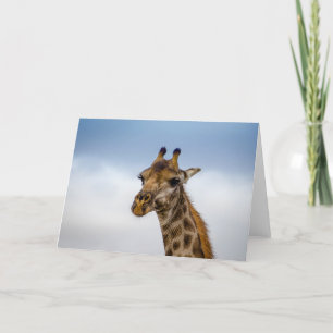 Cartão Giraffe from South Africa