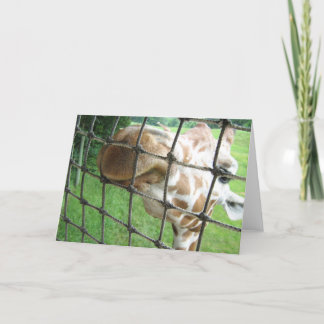 Cartão Giraffe Greeting Card