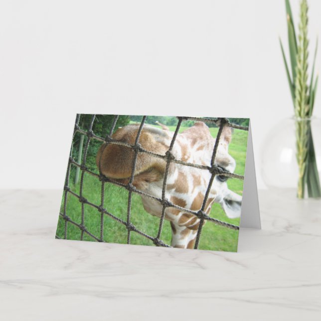 Cartão Giraffe Greeting Card (Frente)