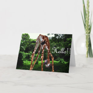 Cartão giraffe Hello
