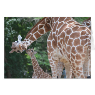 Cartão Giraffe Mãe e Bebê