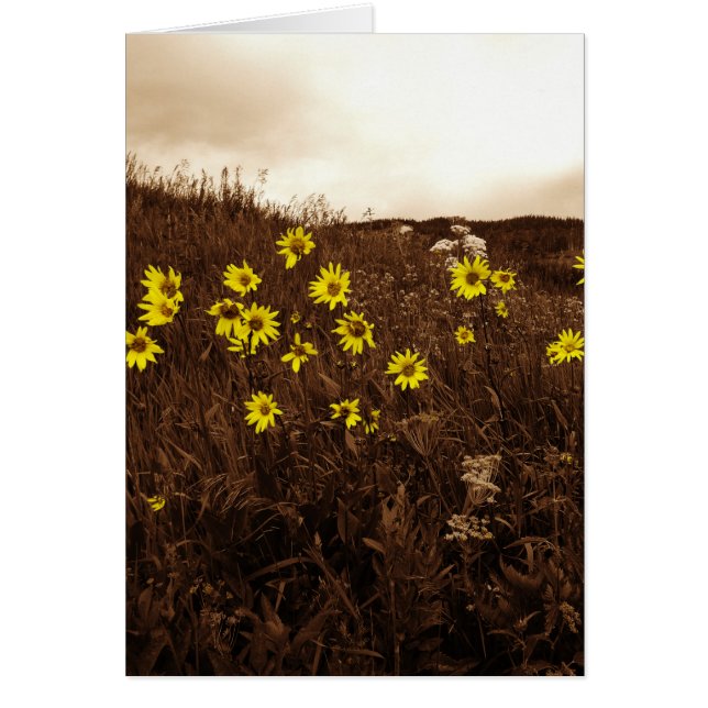 Cartão Girassóis (Frente)