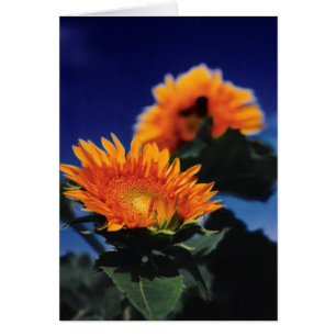 Cartão Girassóis