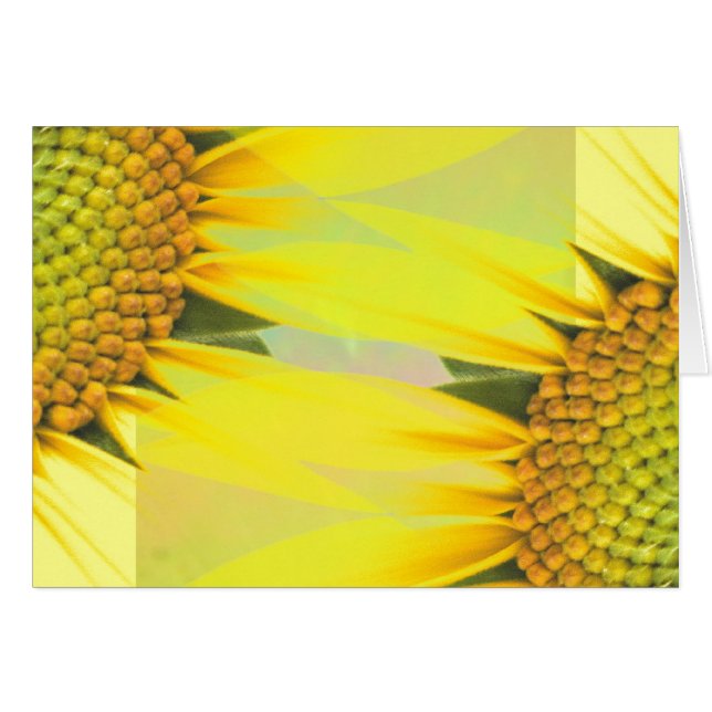 Cartão Girassóis da primavera (Frente Horizontal)