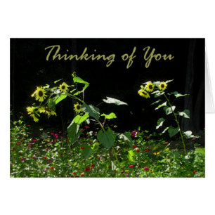 Cartão Girassóis e Wildflowers