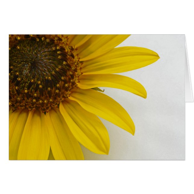 Cartão Girassol (Frente Horizontal)