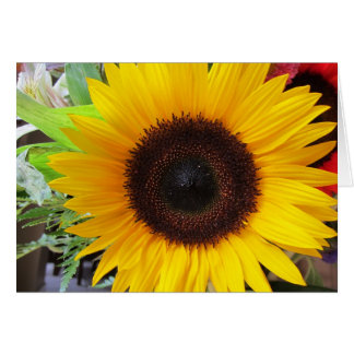 Cartão Girassol