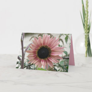 Cartão Girassol Rosa Pálido Se Personaliza Muito Em Breve