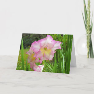 Cartão Gladiola pensando em você, carta