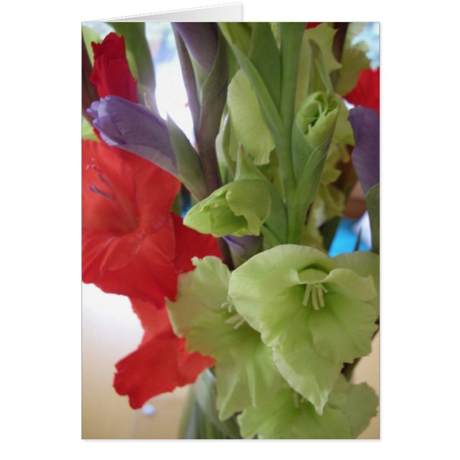 Cartão gladiolas de pam (Frente)