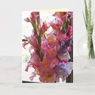 Cartão Gladiolas 'Thinking of you card'