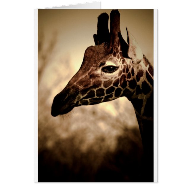 Cartão Glam (Frente)