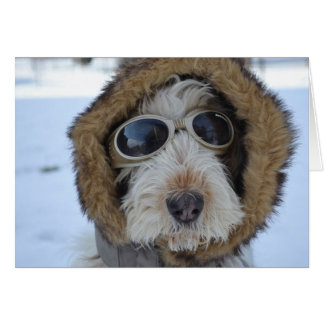 Cartão Glamor de inverno