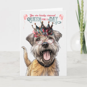 Cartão Glen of Imaal Terrier Dog Queen Funny Birthday