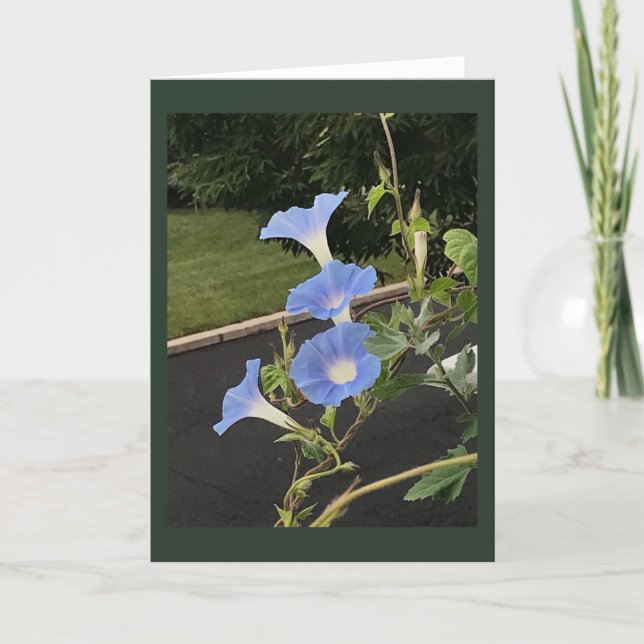 Cartão Glória da Manhã Cascata Azul em Branco  (Frente)