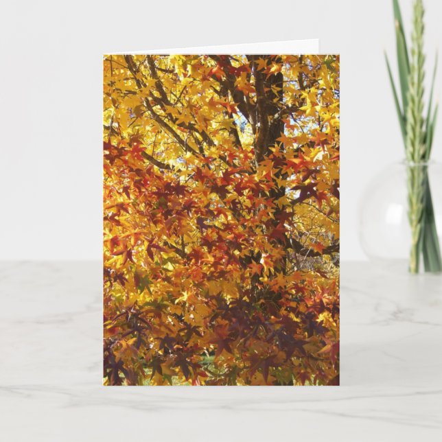 Cartão Glória do outono de Deus (Frente)