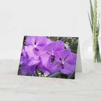 Cartão Glória roxa em Giverny, France