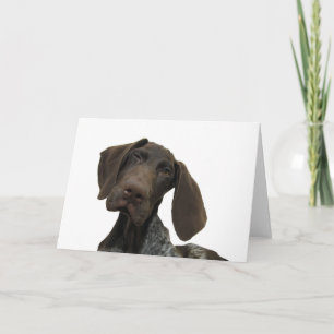 Cartão Glossy Grizzly Greeting Card