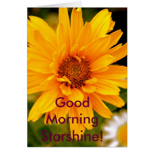 Cartão G'Morning Starshine