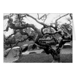 Cartão Gnarly do bordo 5x7