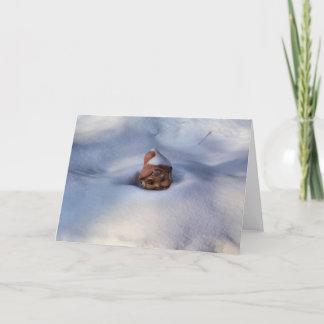 Cartão Gnomo da neve