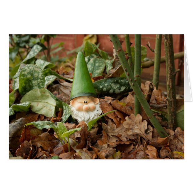 Cartão Gnomo do jardim (Frente Horizontal)