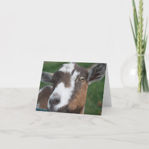 Cartão Goat Blank card