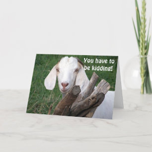 CARTÃO GOAT DIZ QUE DEVE ESTAR BRINCANDO "40º"