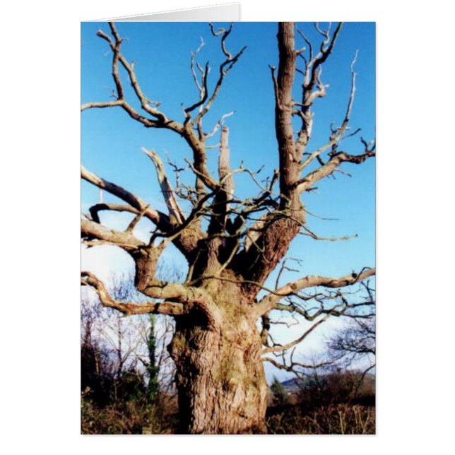 Cartão Gog (Frente)