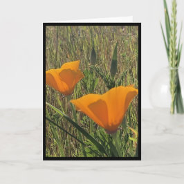 Cartão Golden Poppies Easter Card 3