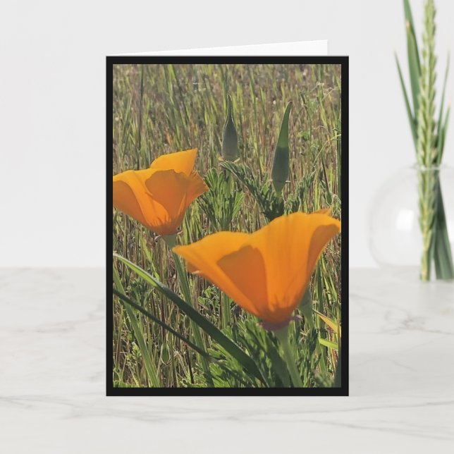 Cartão Golden Poppies Easter Card 3 (Frente)