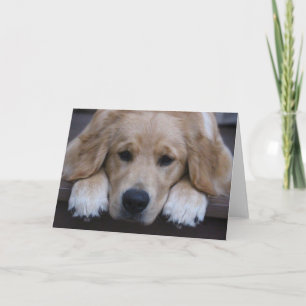 Cartão Golden Puppy Paws Greeting Card