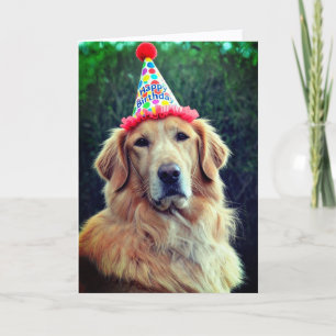 Cartão Golden Retriever & Chapéu de Festa com Feliz Anive