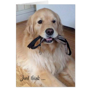 Cartão golden retriever com a trela na boca
