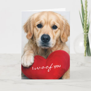 Cartão Golden Retriever Com Travesseiro Coração de São Va