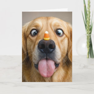 Cartão Golden Retriever de Halloween com Candy Corn