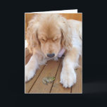 Cartão Golden retriever do aniversário com sapo<br><div class="desc">golden retriever com o sapo verde na madeira</div>