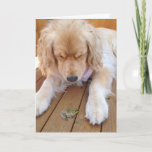 Cartão Golden retriever do aniversário com sapo<br><div class="desc">golden retriever com o sapo verde na madeira</div>