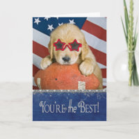 golden retriever do aniversário no futebol