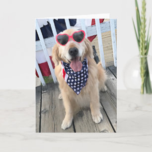 Cartão Golden Retriever Dog in Independence Day Glasses